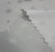 gwiazdki.jpeg K.jpeg