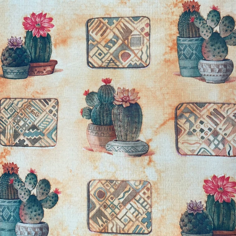 cactus detal1.png
