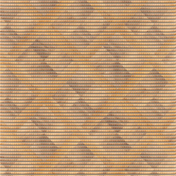 79816.2.jpg